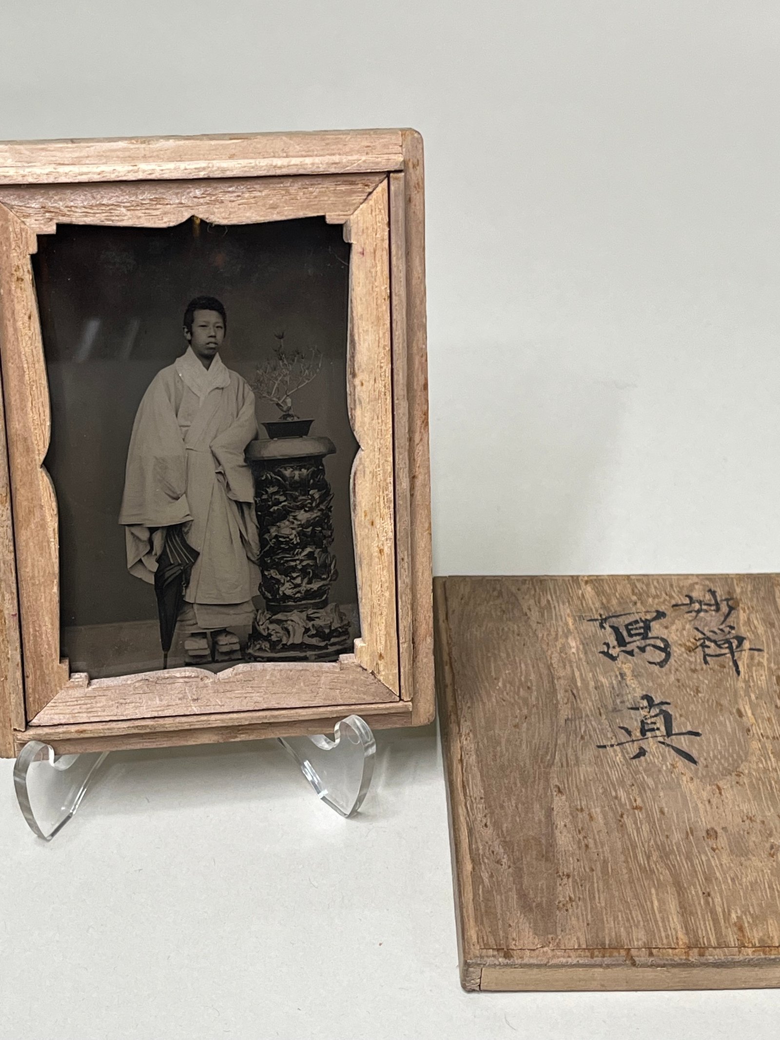 Ambrotype Japan Meiji - Portrait au Parapluie & Bonsai - Studio Myōzen