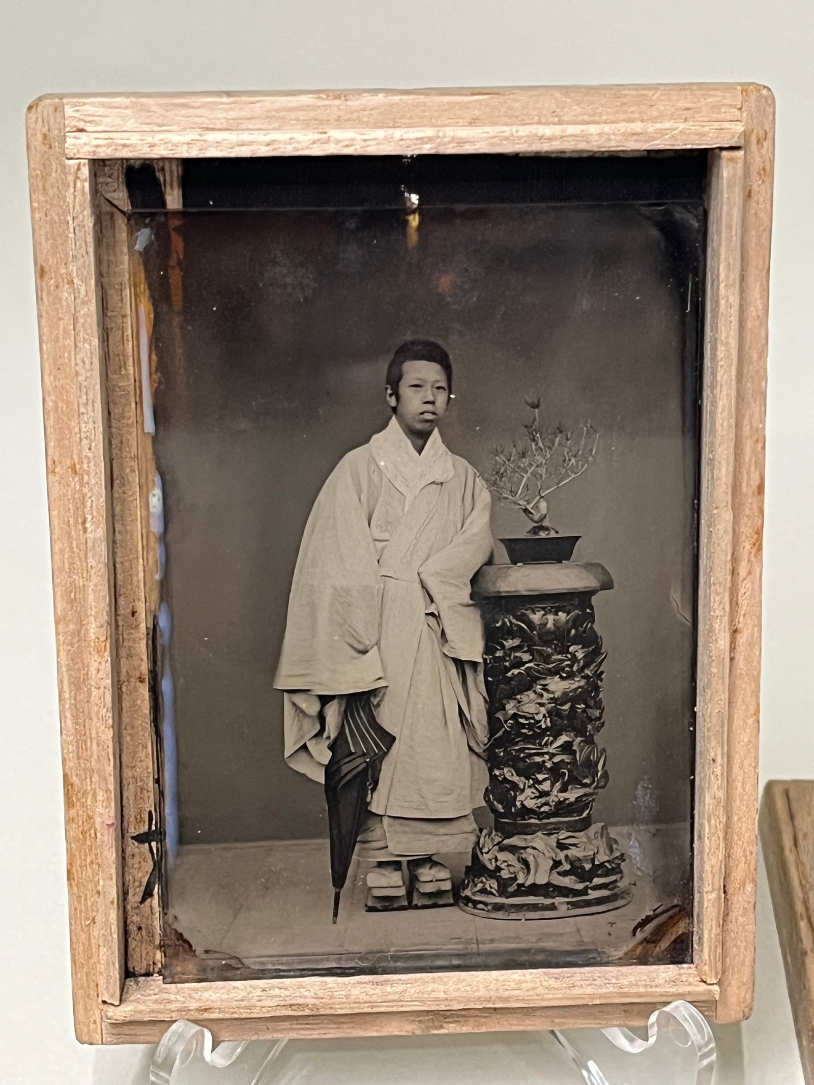 Ambrotype Japan Meiji - Portrait au Parapluie & Bonsai - Studio Myōzen vue 2